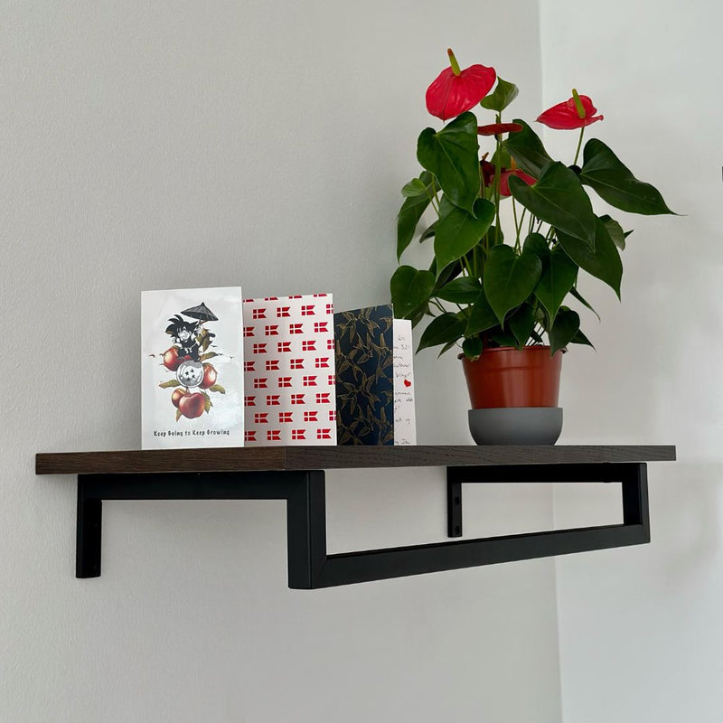 Wall mounted clothes rail with smoked oak shelf to add decoration black rail 