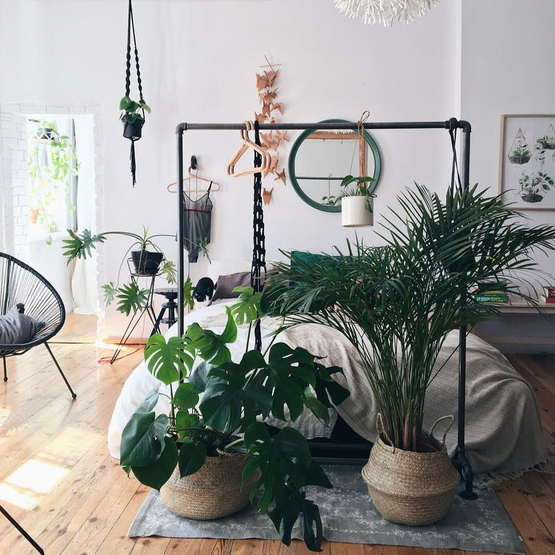 Free standing rack made from dark water pipes used to hanging plants for cozy interior design