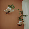 two small wall mounted pine shelves with industrial wall supports for sturdy wall decoration